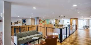 Lamar Union Gallery 59