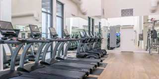 The Willows Gallery 33