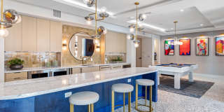 Tortoise One Gallery 53