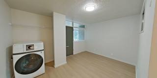 University Manor - Newly Renovated Units just a short walk from Campus! Gallery 65