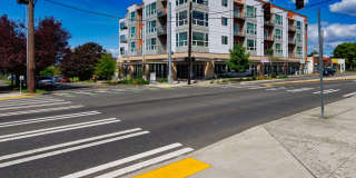 Harlow Heights Gallery 4