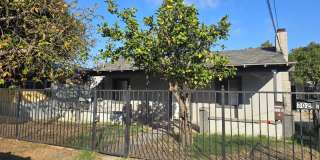 Sycamore Rd Gallery 1