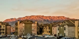 Mountain Run Gallery 8