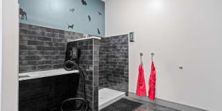 FIFTEEN 51 Gallery 23