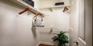 Ascend2300 Gallery 8