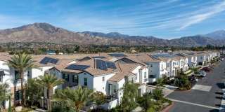 San Carlo Townhomes San Carlo Townhomes Gallery 7