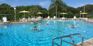 55+ ONLY Updated 1 Bed 1 Bath In Meadow Croft In Bradenton!! Gallery 15