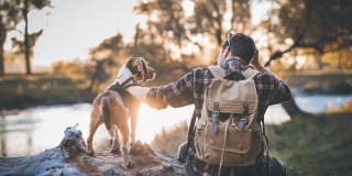 Windsor Meadow Hills Gallery 38