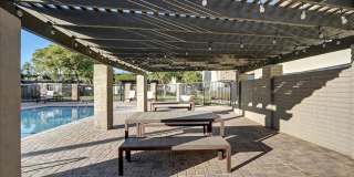 Tierra Palms Gallery 97