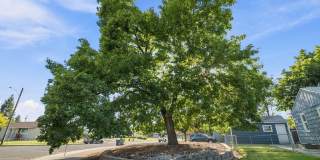Charming Spokane Retreat | Cozy Home in a Quiet Neighborhood Charming Spokane Retreat | Cozy Home in a Quiet Neighborhood Gallery 42