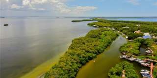 1575 PINELLAS BAYWAY WAY S Gallery 17