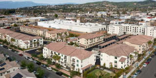 Altura at the Groves Gallery 2