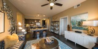 The Arcadian Gallery 2