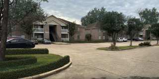 3231-E Virginia Pines Lane Gallery 22