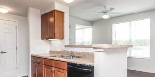 East Meadows Gallery 7