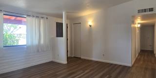 2351 W Placita Algodon Gallery 4