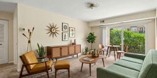 Move-In Ready 801 Sq/F Ground Floor Condo with Walk-Out Patio in Silver Spring Gallery 1