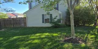 6062 RED SQUIRREL Place Gallery 40
