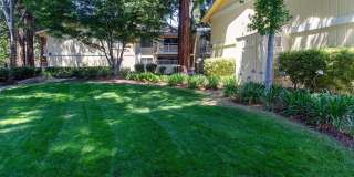 Evelyn Gardens Gallery 26