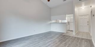 k670 - Buena Vista #306 Gallery 11