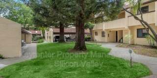 3212 Kimber Ct Gallery 25
