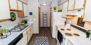 Woodland Trace Gallery 5