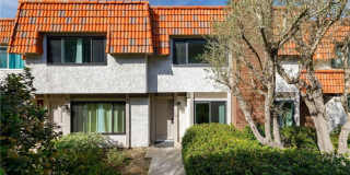 28003 Ridgebrook Court Gallery 1