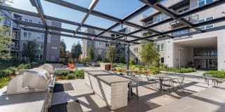 The Asher Gallery 21