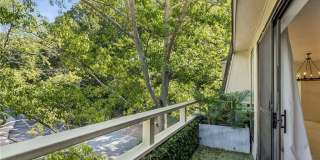 25316 Plantation Drive NE Gallery 19