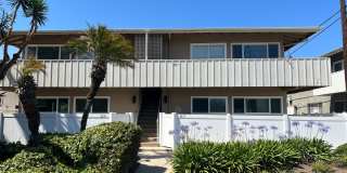 Midtown Gorgeous Updated Apartment! 2/2 downstairs! Gallery 1