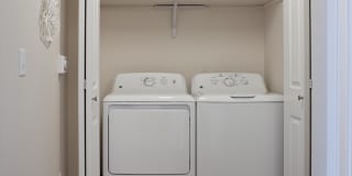 Millennium Park Gallery 12