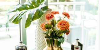 The Registry on the Park Gallery 50