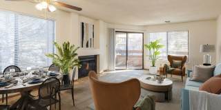 Western Terrace Gallery 17