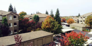 Pinnacle at Galleria Luxury Apartments Gallery 2