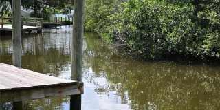 8609 DRIFTWOOD DRIVE Gallery 43