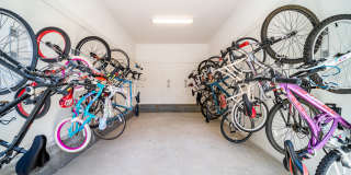 Treeline Timber Creek Gallery 26