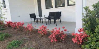 468 Lilly Loop Gallery 1