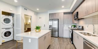 Essence Essence Gallery 3