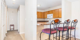146 Bertram Drive Gallery 8