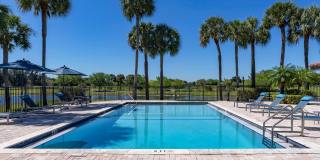 Cameron Cove Gallery 8