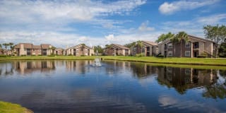 Heron Lake Gallery 25