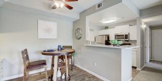 Elevate at Red Rocks Gallery 10