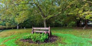 10417 CARLYN RIDGE Road Gallery 39