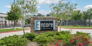 Encore at Westfork Gallery 1