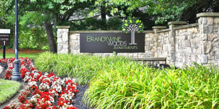Brandywine Woods Gallery 32