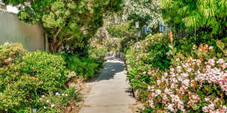 6798 Shearwater Ln Gallery 1