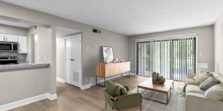 The Lory of Hoover Gallery 1