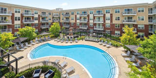 AMLI Deerfield Gallery 10