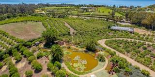 Tuscan Dream Villa in Summerland — Ocean Views, Orchard Serenity, Fully Furnished Retreat Gallery 30
