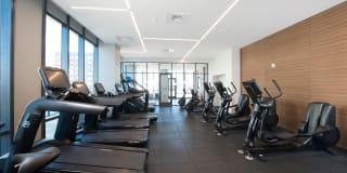 Vantage Collection Gallery 19